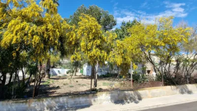 Casa – Algorfa, Urbanización Montemar - Més