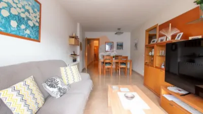 Apartment in El Cintoi photo 3