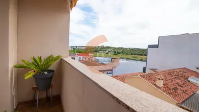 Apartment in El Cintoi photo 2