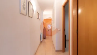 Apartment in El Cintoi photo 13
