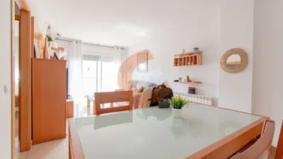 Apartment in El Cintoi photo 5