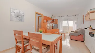 Apartment in El Cintoi photo 4