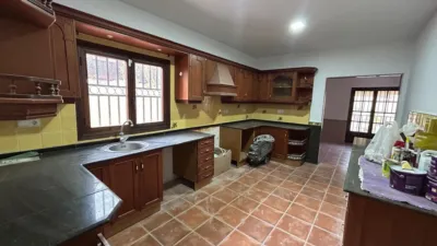 Rustic finca in Barinas photo 10