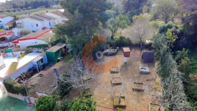 House in La Papiola photo 10