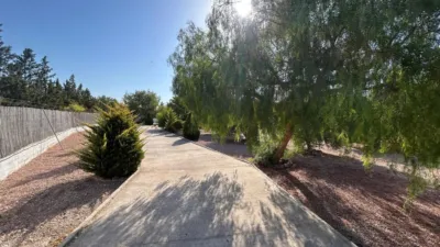 Casa – Crevillent, Polígono Industrial Catxapets, el Baix Vinalopó - Vista 5