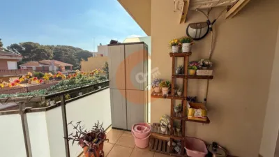 Apartment on Avinguda de la Muntanyeta photo 3