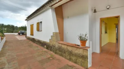House on Carrer de Dalt photo 39