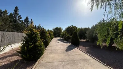 Casa – Crevillent, Polígono Industrial Catxapets, el Baix Vinalopó - Más