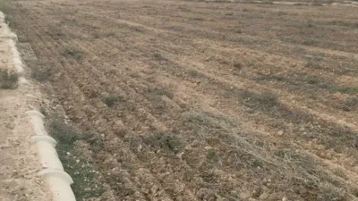 Terreno en venta en Torrellano - Vista 3