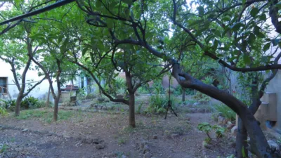 House in Alcover photo 38