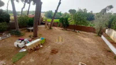 Chalet in Oromana Zone photo 11