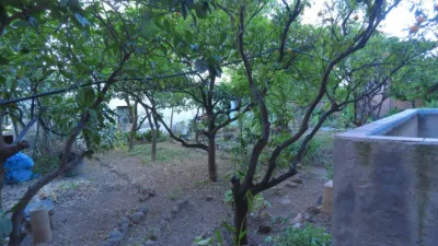 House in Alcover photo 40