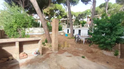 Chalet in Oromana Zone photo 10