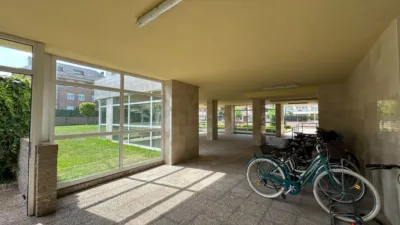 Apartment in Carlos V photo 50