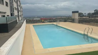 Apartment in Crevillent photo 18