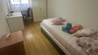 Apartment in Crevillent photo 12