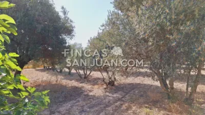 Chalet in Villafranqueza photo 9