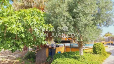 Chalet in Villafranqueza photo 10