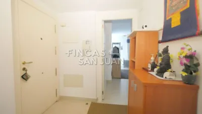 Apartment in the City Centre photo 15