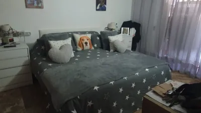 Apartment in Cabo Huertas photo 16
