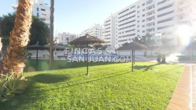 Apartment in Regina Maris photo 6
