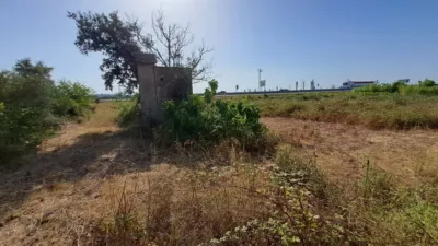 Rustic farm in El Morell photo 3