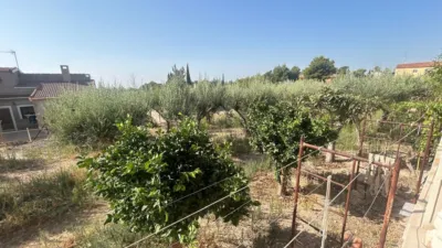 Rustic Finca in Crevillent photo 33