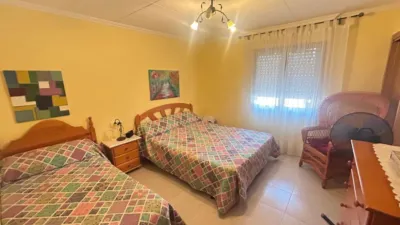 Rustic Finca in Crevillent photo 23