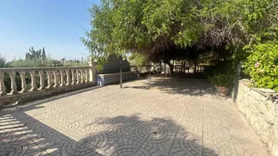 Rustic Finca in Crevillent photo 32