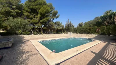 Rustic Finca in Crevillent photo 4