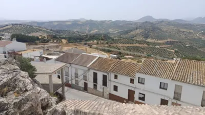 House in the Historic Quarter photo 13
