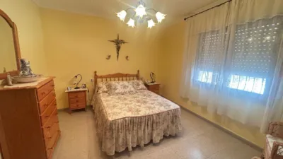 Rustic Finca in Crevillent photo 22