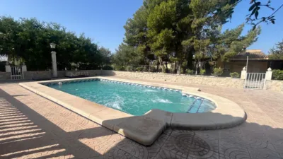 Rustic Finca in Crevillent photo 7
