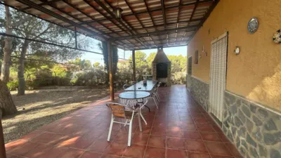 Rustic Finca in Crevillent photo 10