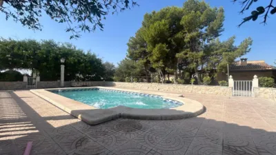 Rustic Finca in Crevillent photo 16