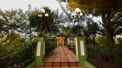 Rustic Finca in Santa Oliva photo 7