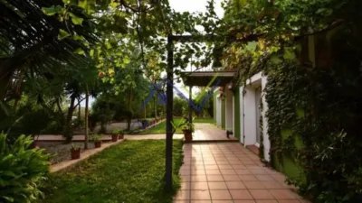 Rustic Finca in Santa Oliva photo 6
