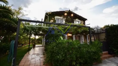 Rustic Finca in Santa Oliva photo 4