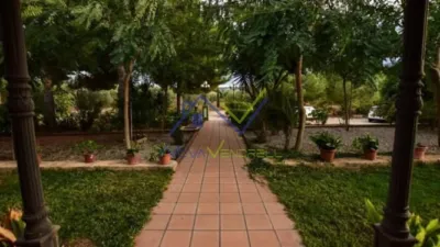 Rustic Finca in Santa Oliva photo 9
