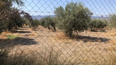 Rustic Finca on Calle Paraje Las Piezas, Algarra photo 2