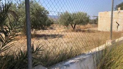 Rustic Finca on Calle Paraje Las Piezas, Algarra photo 5