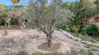 Terreno en venta en Avenida del Arquitecto Félix Candela - Vista 3