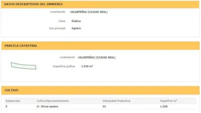 Miniatura 10