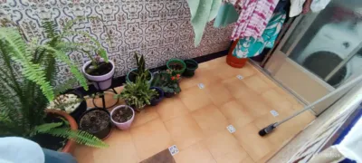 Apartment in Jaén photo 6