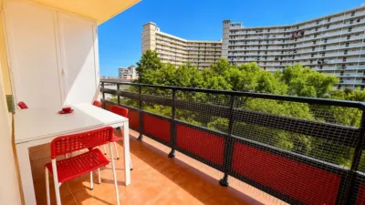 Apartment in Carlos V photo 4