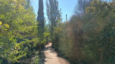 Rustic finca in Villamuriel de Cerrato photo 2