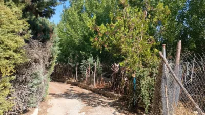 Rustic finca in Villamuriel de Cerrato photo 3