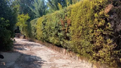 Rustic finca in Villamuriel de Cerrato photo 5