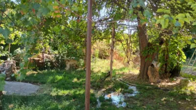 Rustic finca in Villamuriel de Cerrato photo 4