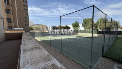 Apartment in Santa Cruz photo 17